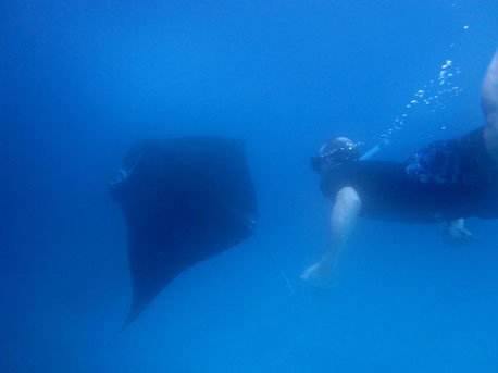 Bali Villas, Lembongan Villas - Manta