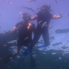 Bali Villas, Lembongan Villas - Diving